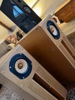 Zeer mooie tangband horns, Audio, Tv en Foto, Luidsprekers, Overige merken, Ophalen of Verzenden, Zo goed als nieuw, 120 watt of meer