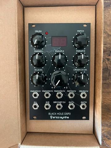 Erica Synths Black Hole DSP2 beschikbaar voor biedingen
