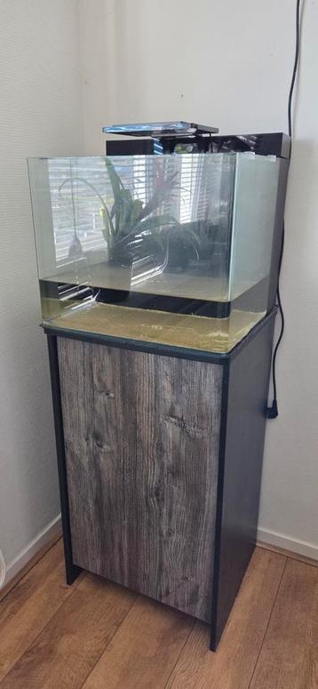 Zoutwater aquarium 90L beschikbaar voor biedingen