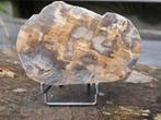 Versteend hout schijf 249 gram, Verzamelen, Mineralen en Fossielen, Ophalen of Verzenden