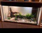 Aquarium met 2delige deksel 80bx49hx45d, compleet, Ophalen, Leeg aquarium