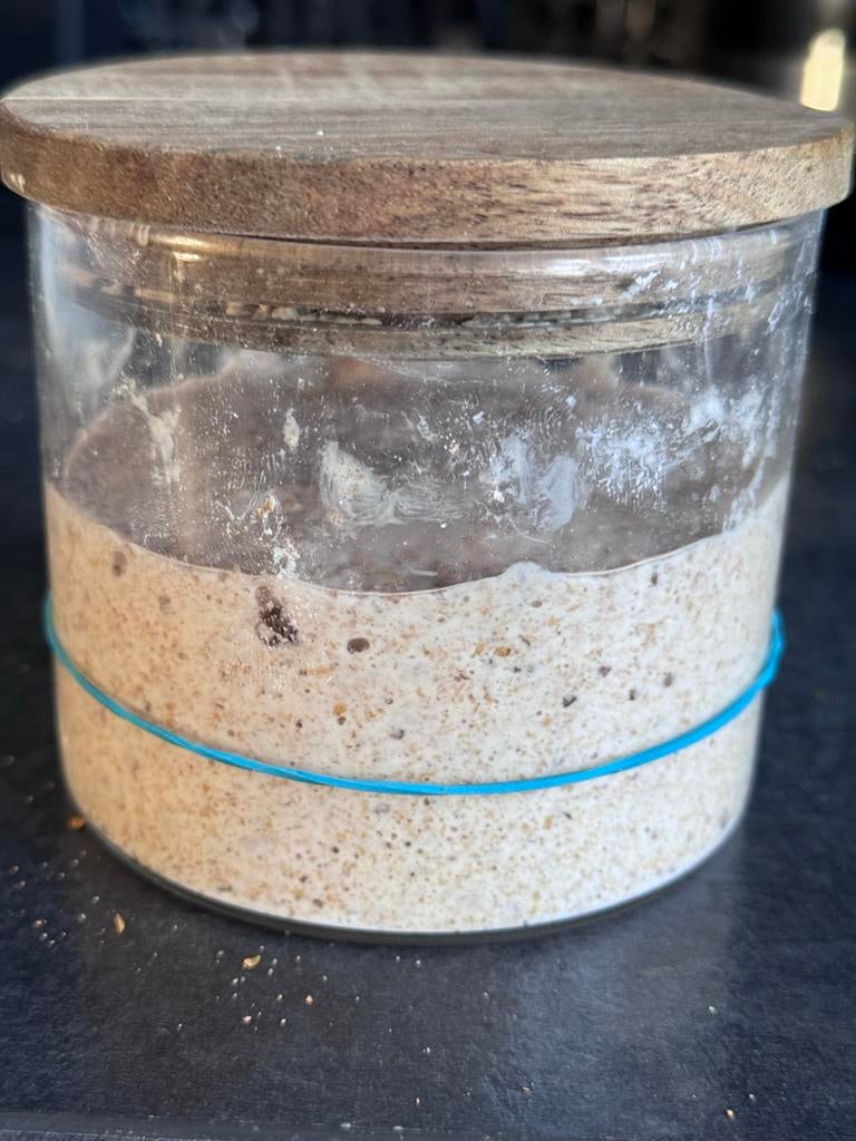 Zuurdesem Starter bio - 100% organic Sourdough starter, Verzenden, Nieuw