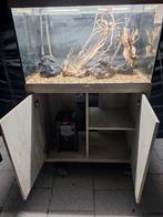 Aquarium aquatlantis 100×48×60 nieuw, Dieren en Toebehoren, Ophalen, Nieuw, Leeg aquarium