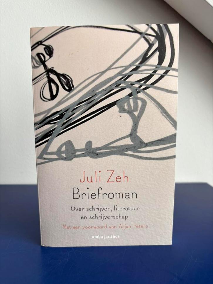 Briefroman | Over schrijven, literatuur en schrijverschap, Boeken, Literatuur, Zo goed als nieuw, Europa overig, Ophalen of Verzenden