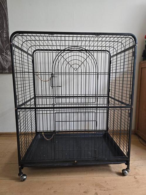 Papagaai / ratten kooi, Dieren en Toebehoren, Vogels | Hokken en Kooien, Gebruikt, Overige typen, Metaal, Ophalen of Verzenden