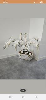 Orginele schelpenvaas creme beige, Huis en Inrichting, Ophalen, Overige kleuren, Aardewerk of Porselein, Zo goed als nieuw