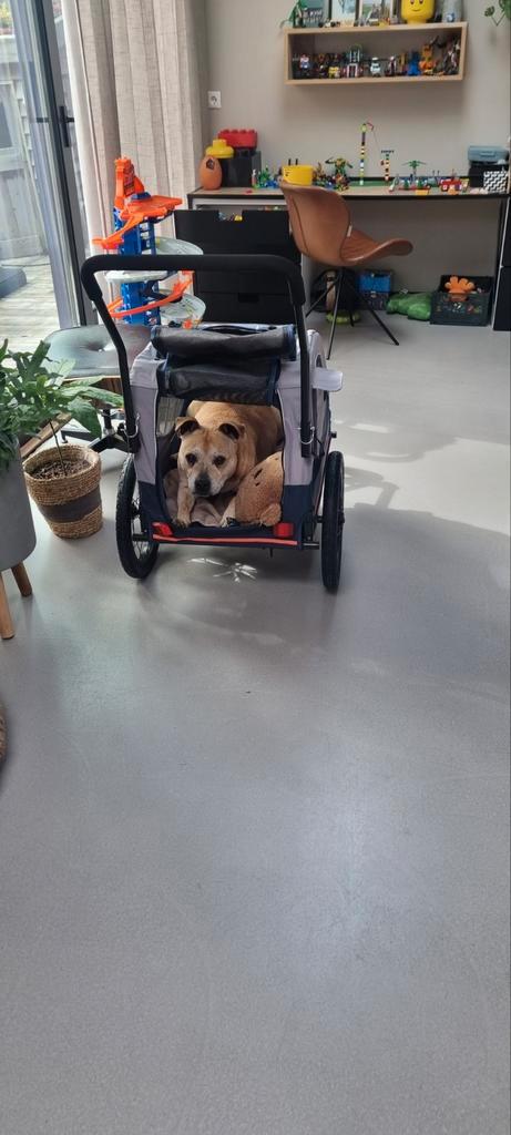 Fietskar / kar (honden) te huur! Dagje, weekendje of week., Dieren en Toebehoren, Honden-accessoires, Zo goed als nieuw, Ophalen of Verzenden