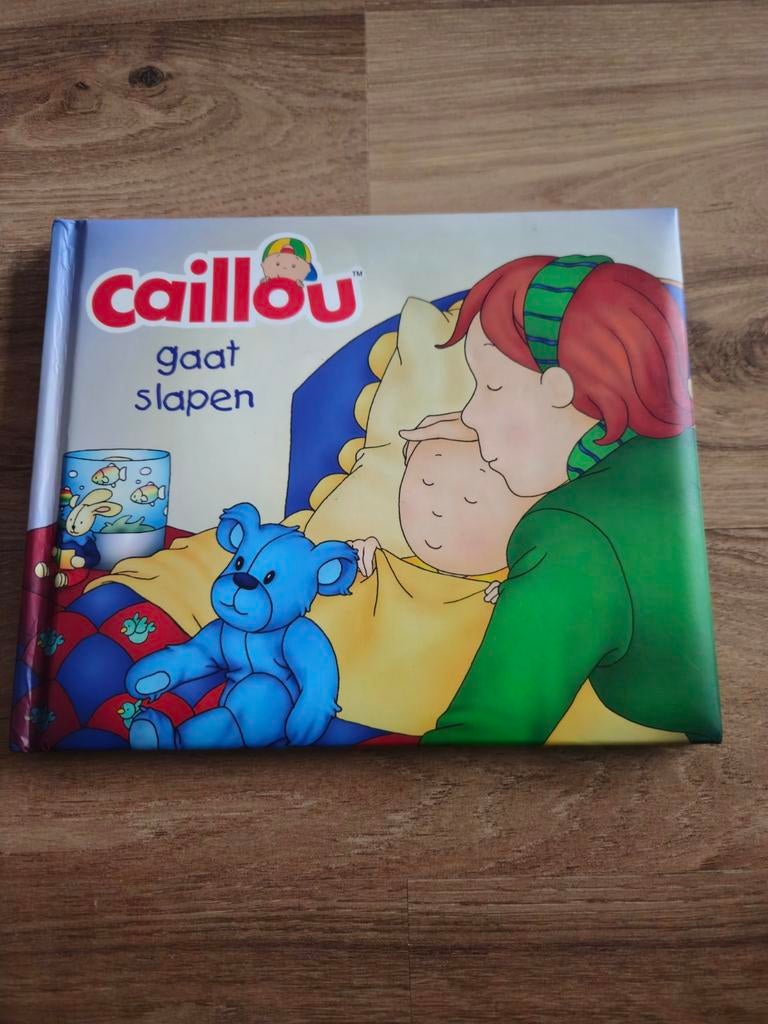 Caillou gaat slapen - Leuk leesboek voor kinderen, Boeken, Ophalen of Verzenden, Gelezen, Caillou, 2 tot 3 jaar