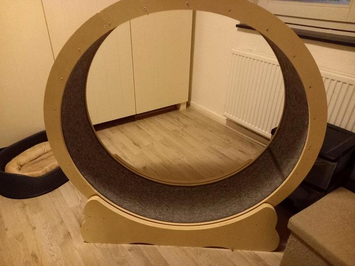 Kattenloopwiel looprad, Dieren en Toebehoren, Katten-accessoires, Zo goed als nieuw, Ophalen