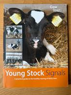 Jan Hulsen - Young Stock Signals - French edition, Ophalen of Verzenden, Zo goed als nieuw, Jan Hulsen