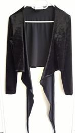 Velours met binders, Kleding | Dames, Ophalen of Verzenden, Zo goed als nieuw, Maat 38/40 (M), Zwart