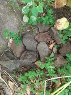 10 lavasteentjes b.v. voor rotstuintje, Tuin en Terras, Grind, Keien en Split, Ophalen, Zo goed als nieuw, Overige materialen