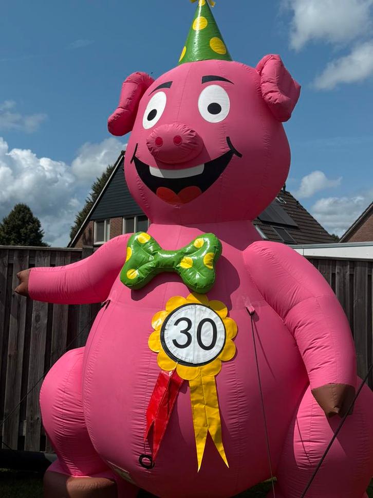 Feestvarken te huur FUNLUCHT BEILEN 0613808090, Hobby en Vrije tijd, Feestartikelen | Verhuur, Zo goed als nieuw, Verjaardag, Ophalen