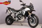 Triumph TIGER 900 RALLY PRO (bj 2025), Triumph Motorcycles B.V., Bedrijf, Toermotor, Dries.waeyaert@triumph.co.uk