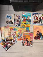 Beverly Hills 90210 Collectie, Ophalen of Verzenden, Gelezen, Tv-serie