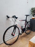 Wilier Triestina Escape Racefiets, Carbon, Zo goed als nieuw, 57 tot 61 cm, Meer dan 20 versnellingen