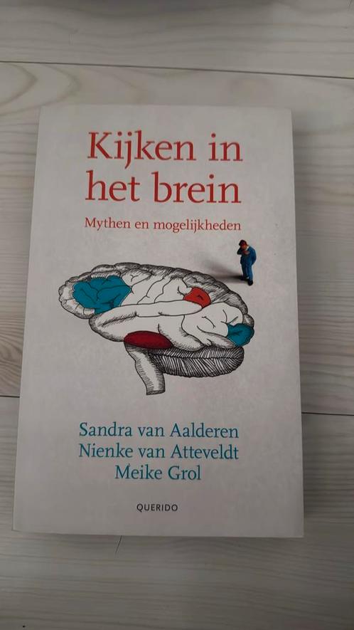 Meike Grol - Kijken in het brein, Boeken, Overige Boeken, Zo goed als nieuw, Ophalen of Verzenden