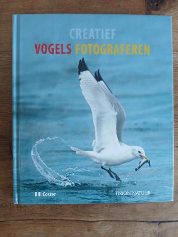 Creatief Vogels Fotograferen - Bill Coster beschikbaar voor biedingen