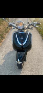 Verschillende sym allo / cello onderdelen, Ophalen of Verzenden, Zo goed als nieuw, Overige typen