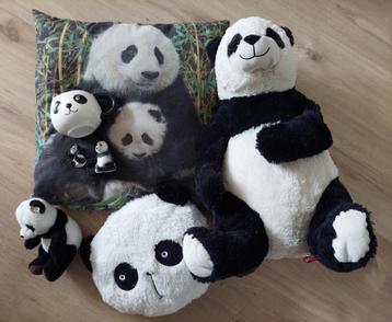 Pandaberen verzameling met knuffels, beeldjes en meer! beschikbaar voor biedingen