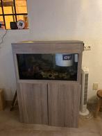 Super mooi aquarium 200 liter, Ophalen of Verzenden, Zo goed als nieuw, Leeg aquarium
