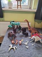 Playmobil Dinosaurus en Prehistorie Set, Ophalen, Gebruikt, Overige typen