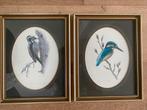Paar retro ingelijste prints van Britse vogels Art, Ophalen of Verzenden