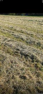 Hooi geschikt voor paarden te koop., Dieren en Toebehoren, Stalling en Weidegang