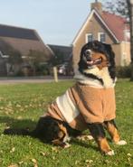 Nestje berner sennnen pups verwacht rond 3 januari 2026, Meerdere, Meerdere dieren, Nederland, Particulier