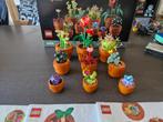 Lego Botanical Collection - Tiny Plants, Kinderen en Baby's, Speelgoed | Duplo en Lego, Ophalen of Verzenden, Zo goed als nieuw