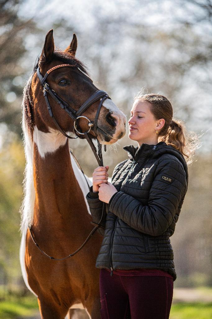 Te koop bonte D-pony, Dieren en Toebehoren, Pony's, Merrie, Niet van toepassing, D pony (1.37m tot 1.48m), Recreatiepony, 11 jaar of ouder