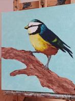 Schilderij Koolmeesje 30x30, Ophalen of Verzenden