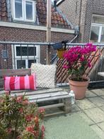 Tuinhoekbank van pallets – geïmpregneerd grenenhout + kussen, Tuin en Terras, Tuinbanken, Ophalen, Gebruikt, Hout