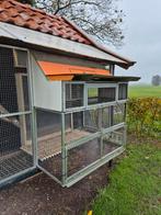 Voilere met spoetnik, Meerdere dieren