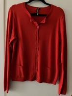 Dolce Vita vest rood maat S nieuw, Kleding | Dames, Nieuw, Ophalen of Verzenden, Dolce Vita, Maat 36 (S)