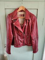 Rode leren jas Freaky Nation - Maat S, Ophalen of Verzenden, Zo goed als nieuw, Freaky Nation, Maat 36 (S)