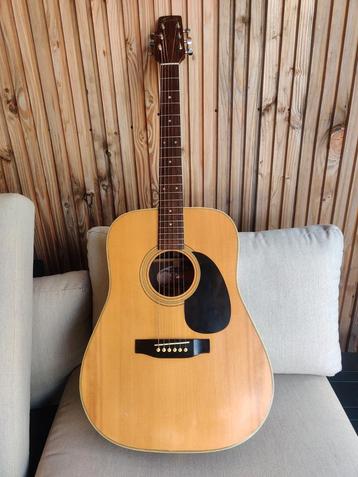 Fenix D80J Western Gitaar beschikbaar voor biedingen