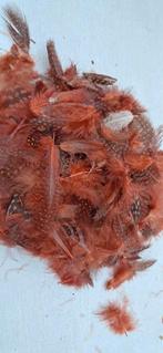 Bruine veren met stippen, Hobby en Vrije tijd, Stoffen en Lappen, Overige materialen, Bruin, Nieuw, Ophalen of Verzenden