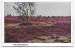 Beekbergen oude gelopen Ansichtkaart ( B3031 ), Ophalen of Verzenden, 1960 tot 1980, Gelopen, Gelderland