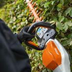 Snoeien & bladruimen ---> Tuinman, strak de winter in!, Tuinonderhoud of Snoeiwerk