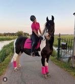 Anky set full, Dieren en Toebehoren, Paarden en Pony's | Dekens en Dekjes, Ophalen of Verzenden