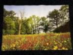 NIEUW! Xpozer foto & ophangsysteem 90x135cm € 24,99 (NR9), Nieuw, 125 cm of meer, Ophalen of Verzenden, Foto of Poster