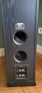Magnat luidspreker (2 stuks), Audio, Tv en Foto, Ophalen, Gebruikt, Magnat, 120 watt of meer
