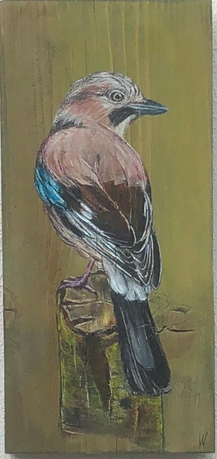 Schilderij Vlaamse gaai op gebruikt hout, Antiek en Kunst, Kunst | Schilderijen | Modern, Verzenden