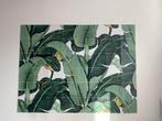 Ixxi Bananenplant Wanddecoratie, Ophalen of Verzenden, Zo goed als nieuw, Schilderij