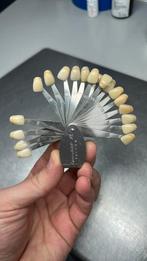 Tantechniek kleurenwaaier, Ophalen of Verzenden