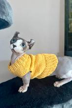 Handmade trui Kattenkleding Sphynx Rex Kitten kat Naaktkat, Dieren en Toebehoren, Ophalen of Verzenden, Nieuw