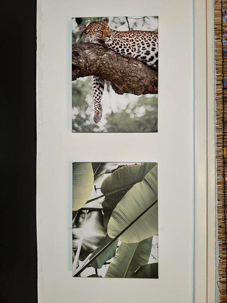 Tropische Luipaard Foto's - Set van 2, Huis en Inrichting, Woonaccessoires | Schilderijen, Tekeningen en Foto's, Zo goed als nieuw