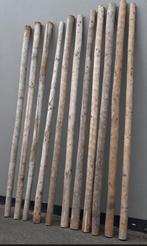 1 set 11 stuks Kastanjepaal hout 4 meter, Ophalen of Verzenden, Gebruikt, 250 cm of meer, Palen