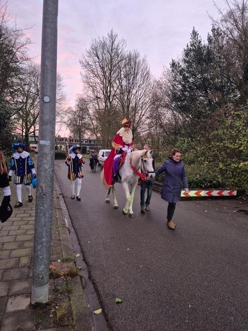 Sint en Piet On Tour - Boek nu voor een onvergetelijk feest! beschikbaar voor biedingen
